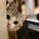 うちよそ置き場