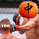 MassMandarinApproach