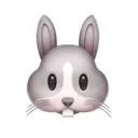 🐰 퓨처래빗 Future Lab:bit