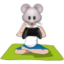 Mouse and Yoga Matt