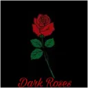 🌹𝓓𝓪𝓻𝓴 𝓡𝓸𝓼𝓮𝓼🌹