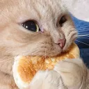 pancake