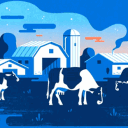 The Dairy Farms