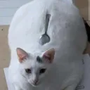 The Clump