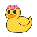 duckicord