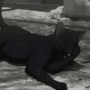 purr