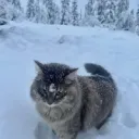 ʙʀᴇᴀᴅ'ꜱ ᴄᴀꜰᴇ