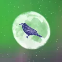 The Black Crows