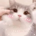 Snowy's Discord