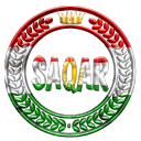 SAQAR TEAM 🦅 icon