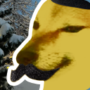 Discovery icon for FRANCE MEMES Discord server