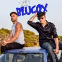 BluCoX