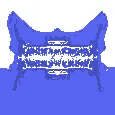 Dynamic Entropy