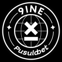Discovery icon for 9INE Pusulabet Discord server