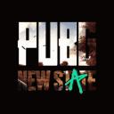 PUBG: New State icon