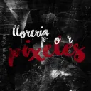 LLORERIA POR PIXELES