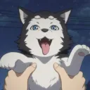 The Husky Club