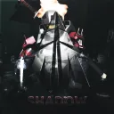 The Shadow Realm