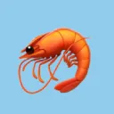 Shrimp Land