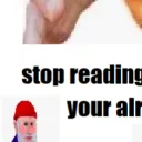 MEMES ANARCHY
