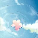 Puella MagiScattered Petals Discord Server Icon