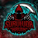 HaviK's Valorant Community