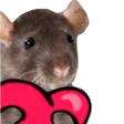 HyperRats Discord Server Icon