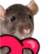 HyperRats Discord Server Icon – Community
