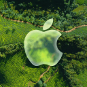 Discovery icon for The Apple Den Discord server