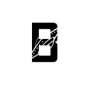 Bingcord