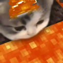 ♡ シンプル 国家 ♡