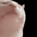 Snerver avatar