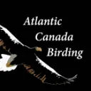Atlantic Canada Birding