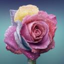 Rose's Garden Discord Server Icon