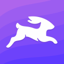 Directus icon