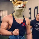 CraǮfǾx's Stream