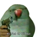 кiты и бiбы
