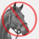 Neigh No More