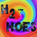 H2-HOES