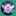 Rocket League Boost Service's icon