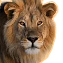 🤖 LionBOT | Serwer Bota 🤖