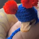 QUUEUE LES Vrééé