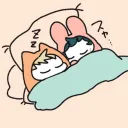 Mochi Kitty バニー