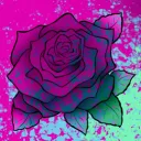 Rose Garden