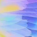 Apexコラ画像