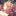 The White Lily Organization (18+)'s icon