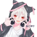 ねこのおうち