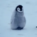 すすの友達