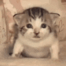 FDK's Nightmare Discord Server Icon
