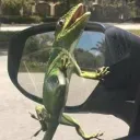 Geeko's